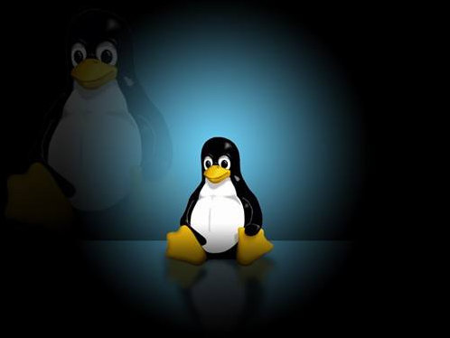 如何给linux服务器设置域名dns解析 这几种方法值得一看